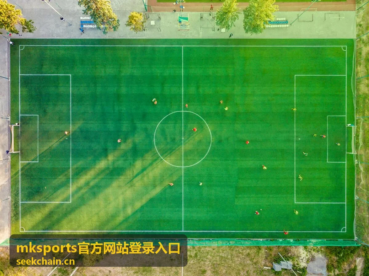 mksports官方网站登录入口平台服务入口页面展示图