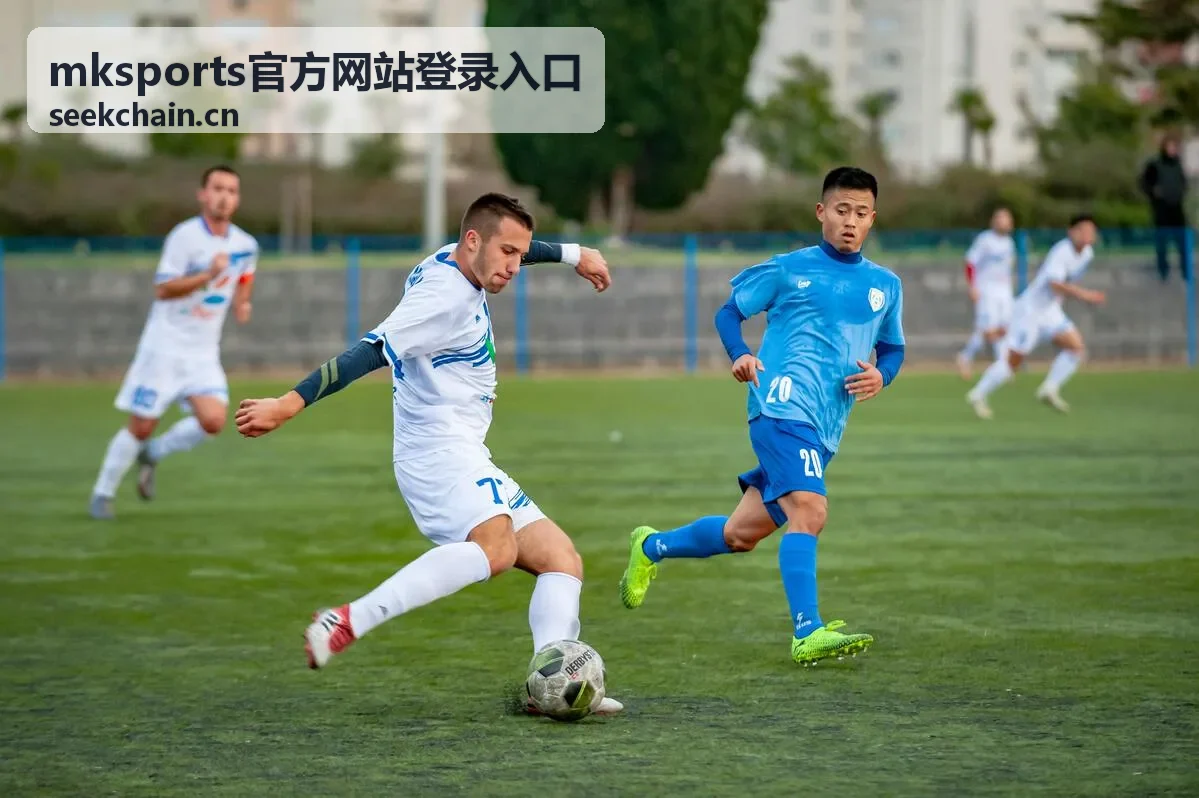 mksports官方网站登录入口企业服务后台展示